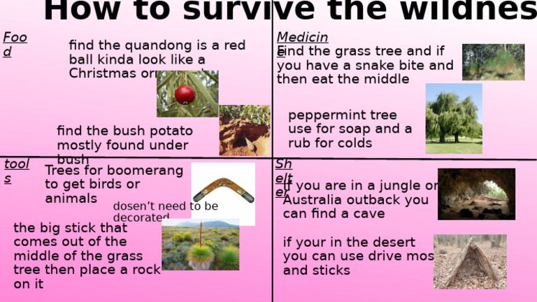 Survival | PDF