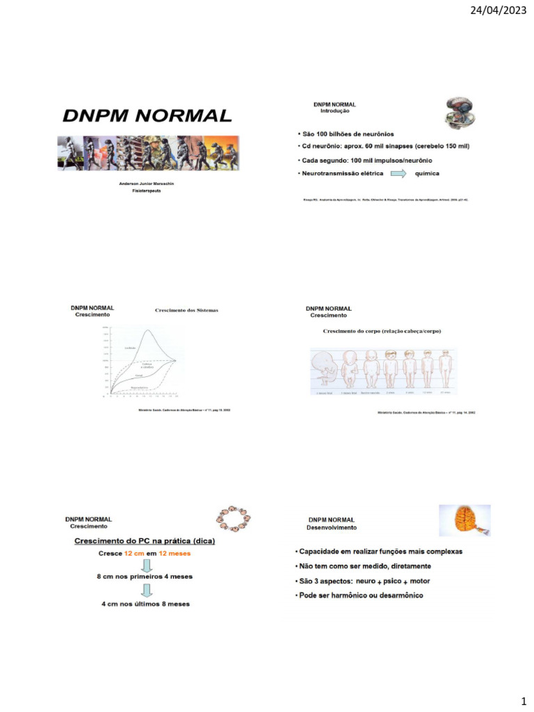 DNPM | PDF