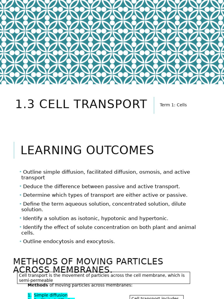 1.3 Cell Transport | PDF | Osmosis | Cell Membrane