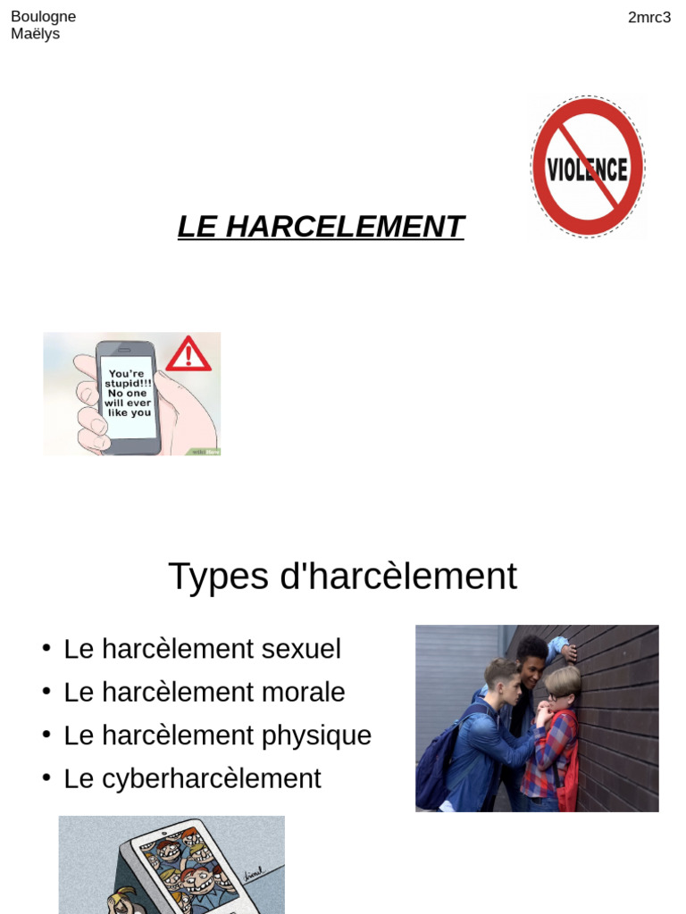Types et impacts du harcèlement | PDF
