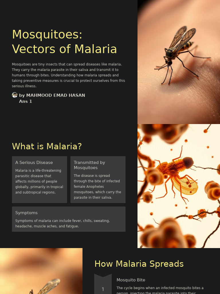 Mosquitoes Vectors of Malaria | PDF | Malaria | Mosquito