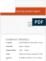 companyprofile-101204061915-phpapp01