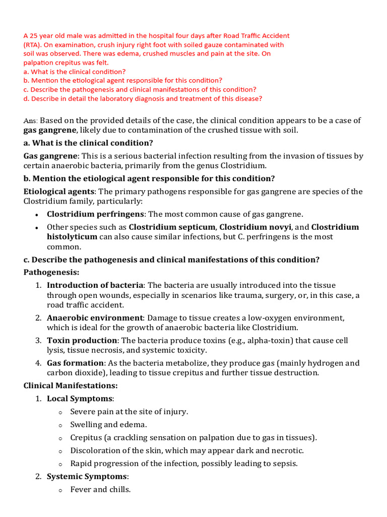 Microbiology-I Case Study | PDF | Autoimmune Disease | Wound