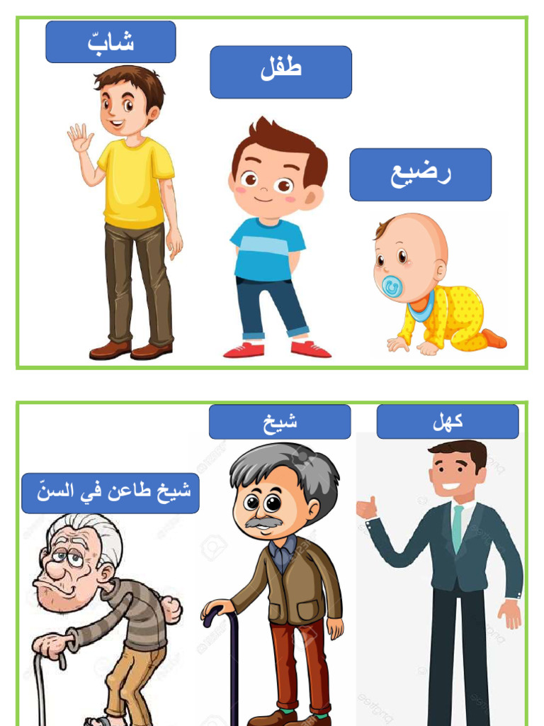 النمو عند الانسان مدرستي | PDF