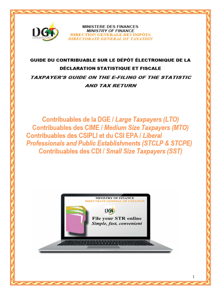 Guide de Dépôt DSF Électronique 2025 | PDF | Microsoft Excel | Informatique