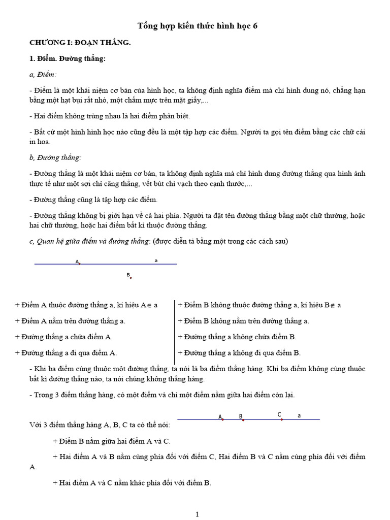 Tong Hop HH Lop 6 | PDF