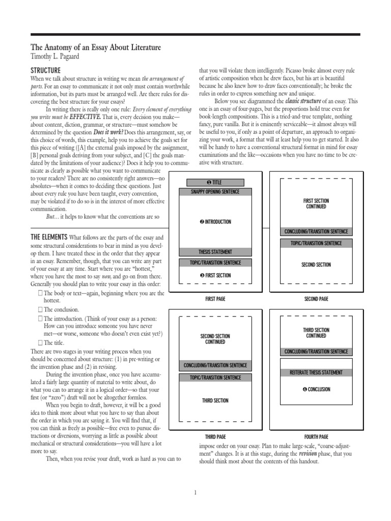 Anatomy of An Essay | PDF | Essays | Paragraph