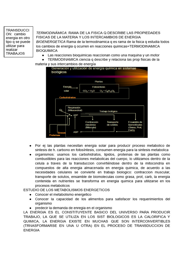 bioenergetica | PDF | Metabolismo | Entropía