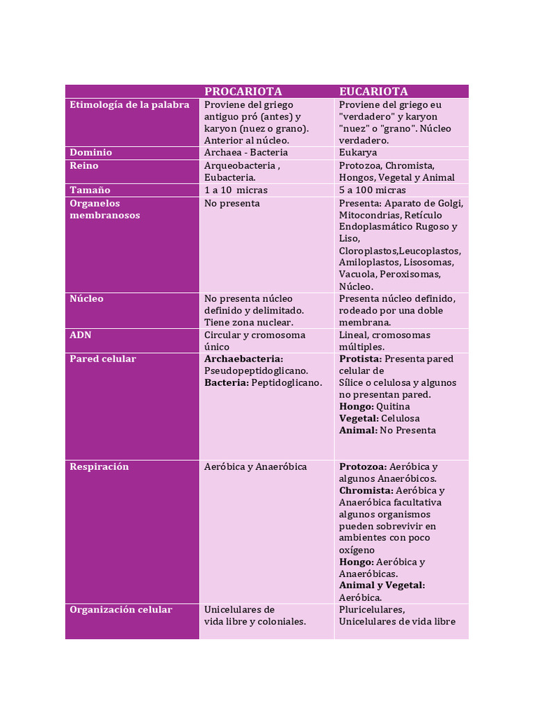 Comparativa de Células Procariotas y Eucariotas | PDF | Eucariotas ...