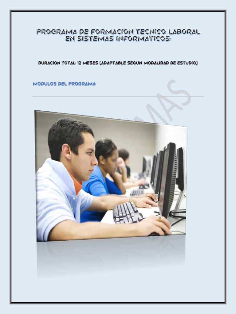 Programa de Formación Técnico Laboral en Sistemas Informáticos | PDF ...