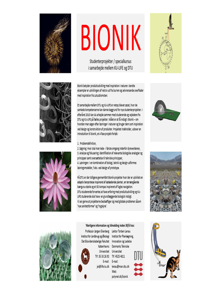 Bionik Poster | PDF