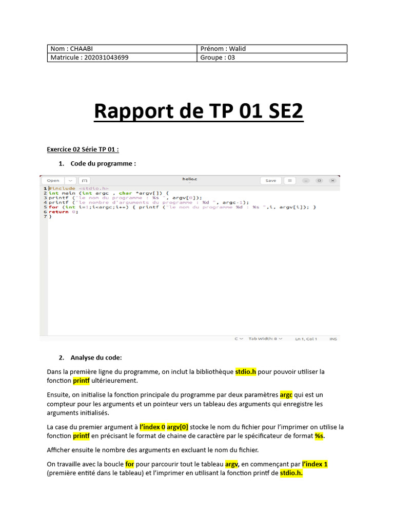 Rapport TP 01 : Analyse de Code C | PDF