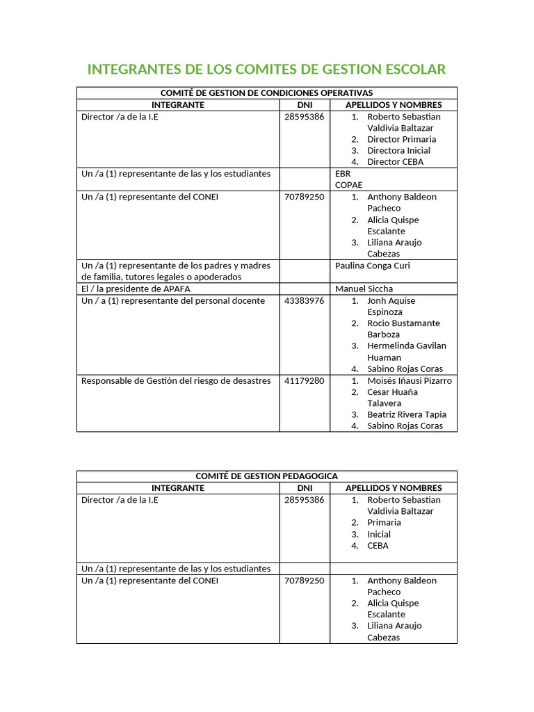 Integrantes Comités Gestión Escolar 2025 | PDF