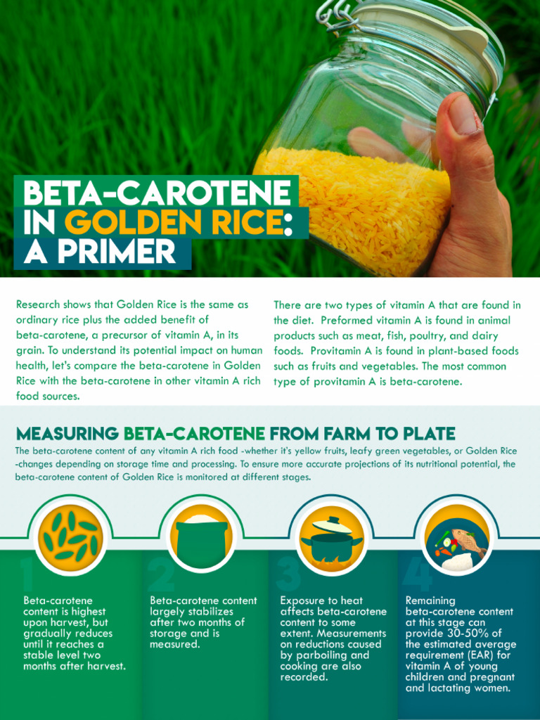 Beta Carotene in Golden Rice | PDF