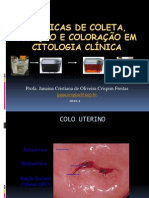 Aula Técnicas de Coleta, Fixação e Coloração em Citologia Clínica