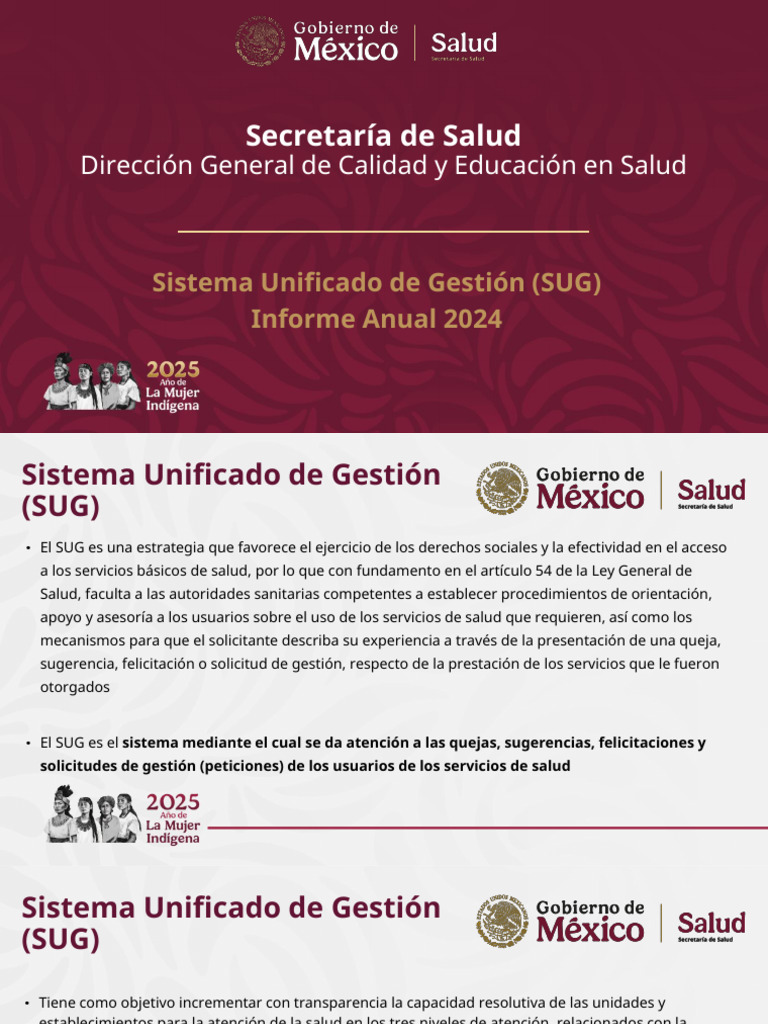Informe Anual 2024 del SUG en Salud | PDF | Educación en artes ...