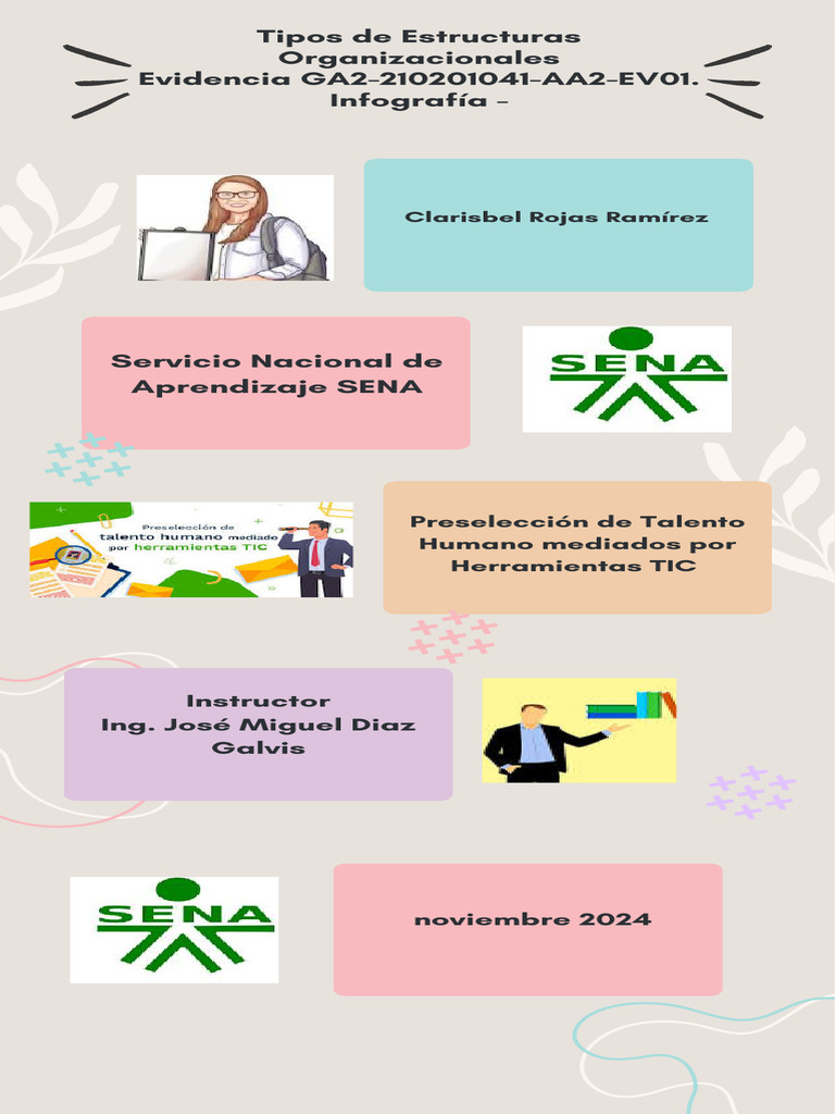 Tipos de Estructuras Organizacionales | PDF