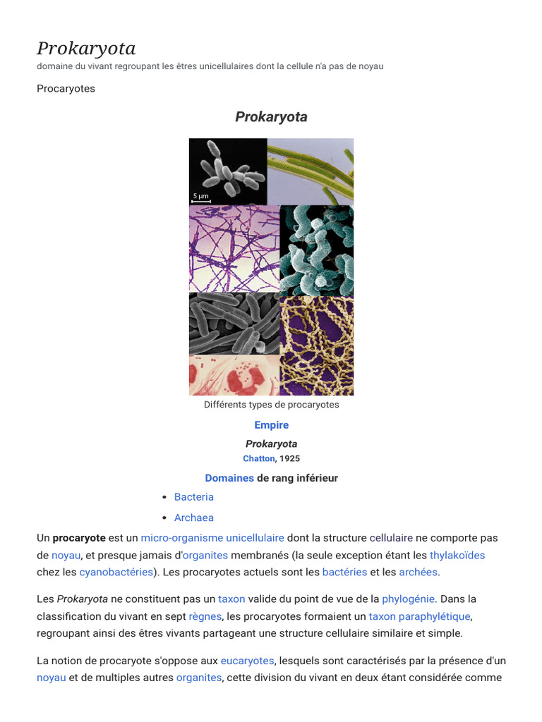 Diversité et caractéristiques des procaryotes | PDF | Prokaryota ...