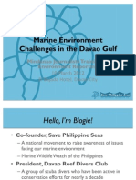 Marine Environment Problems in Davao Gulf