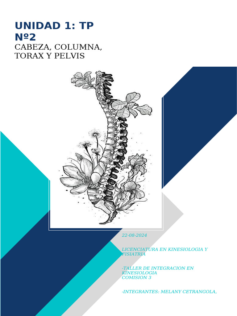 Anatomía y Funciones de Cabeza y Columna | PDF | La columna vertebral ...