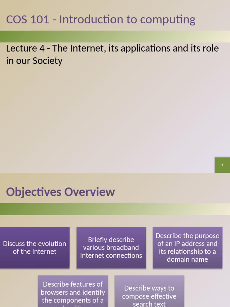 Internet Overview and Applications | PDF | Internet | World Wide Web