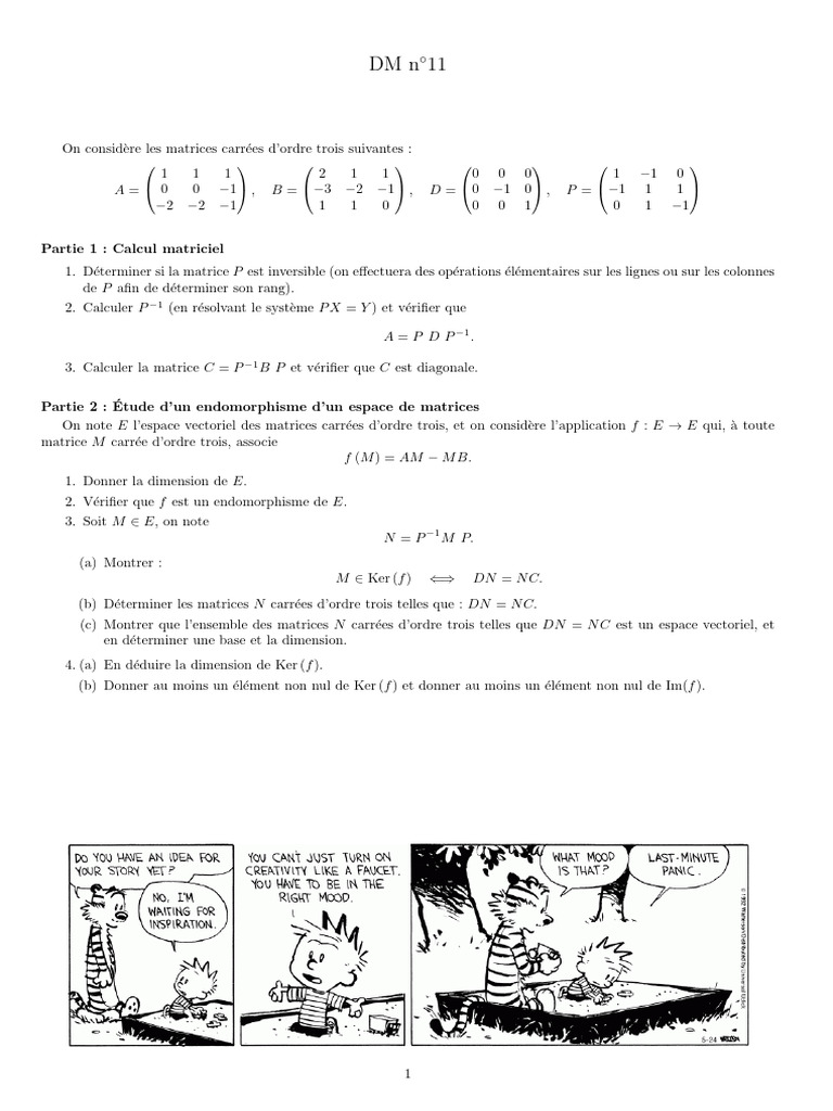 Calcul matriciel et endomorphismes | PDF | Matrice (Mathématiques ...