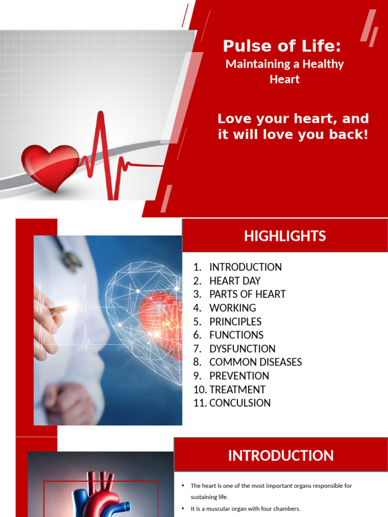 Heart Awareness | PDF | Ventricle (Heart) | Heart