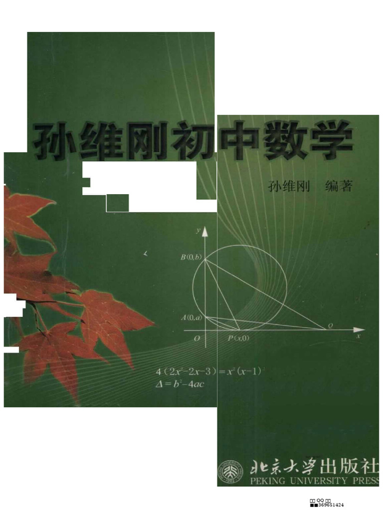 孙维刚初中数学| PDF