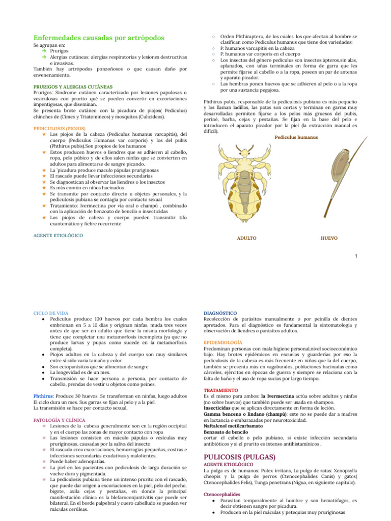 PARASITOLOGIA TECER PARCIAL | PDF | Mosquito | Mosca