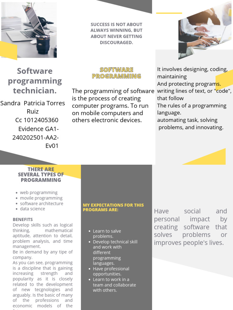 Overview of Software Programming Skills | PDF