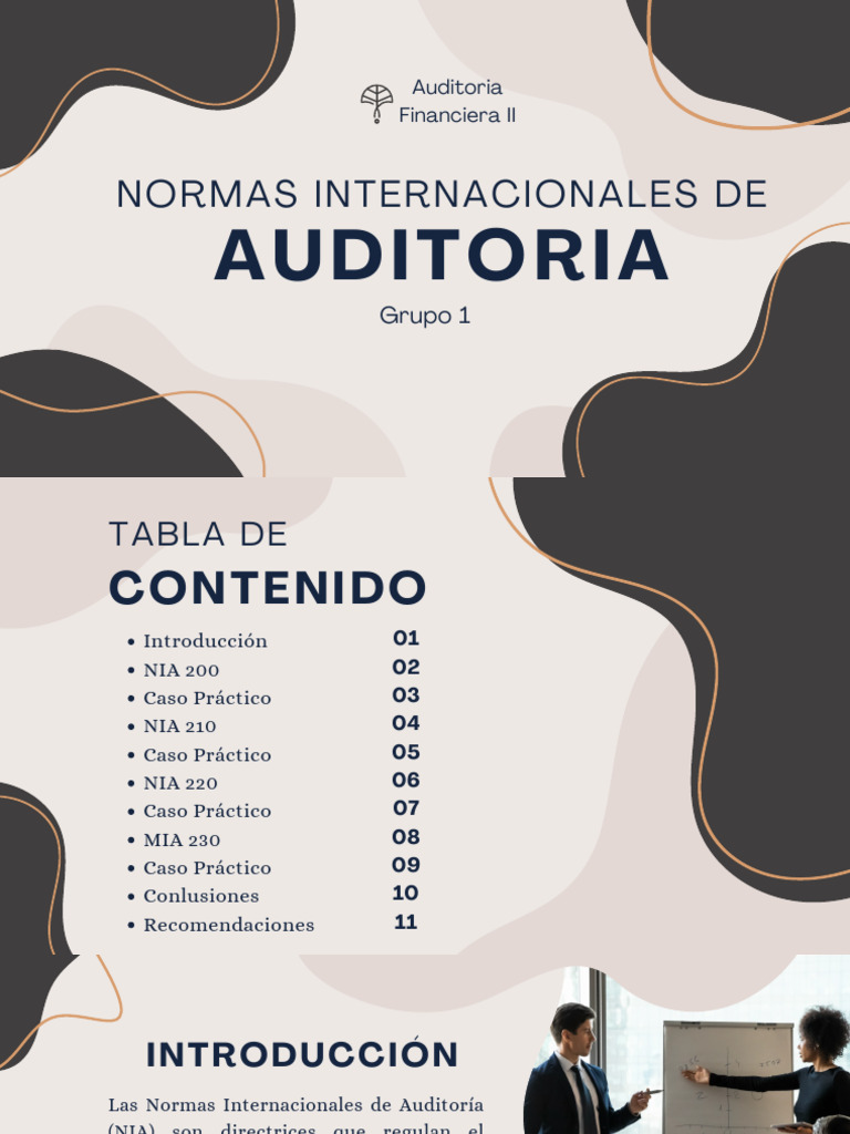 Normas Internacionales de Auditoría NIA | PDF | Auditoría | Contralor