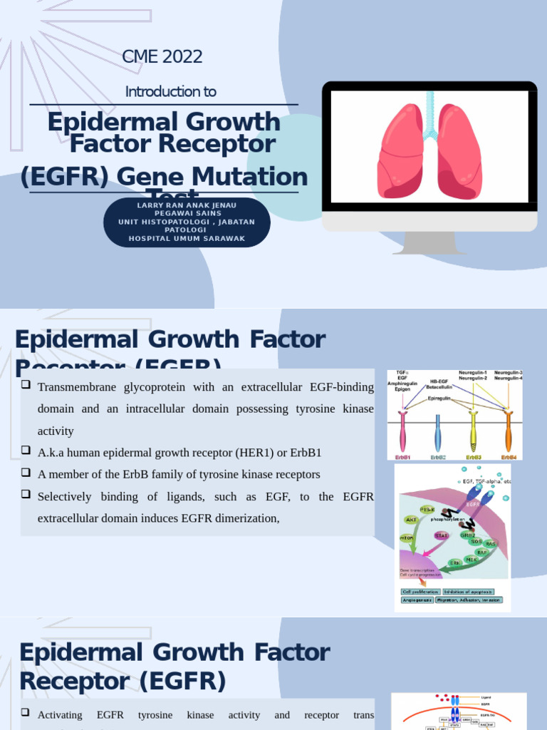 CME Introduction To EGFR Part 2 | PDF | Epidermal Growth Factor ...