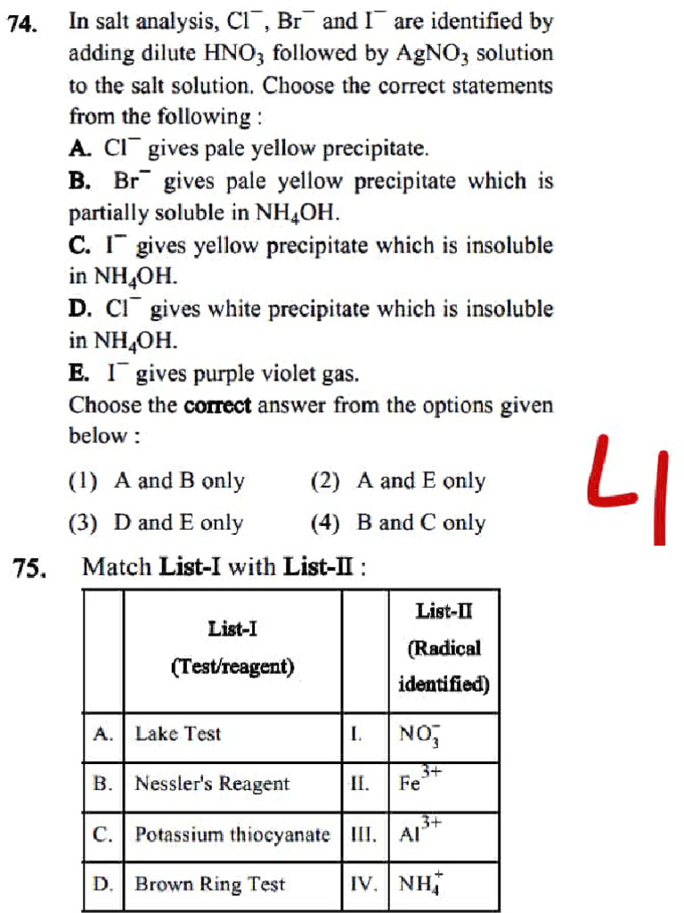 Practical Chem | PDF | Chemical Compounds | Chemical Substances