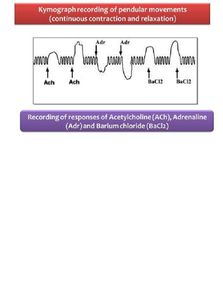 Exp 13 | PDF