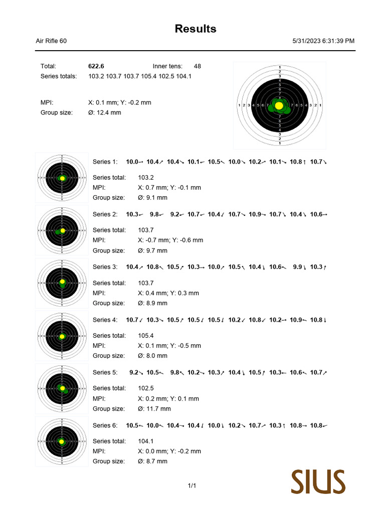 Air Rifle Performance Results Summary | PDF