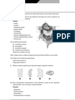 Aebg10 B Teste1