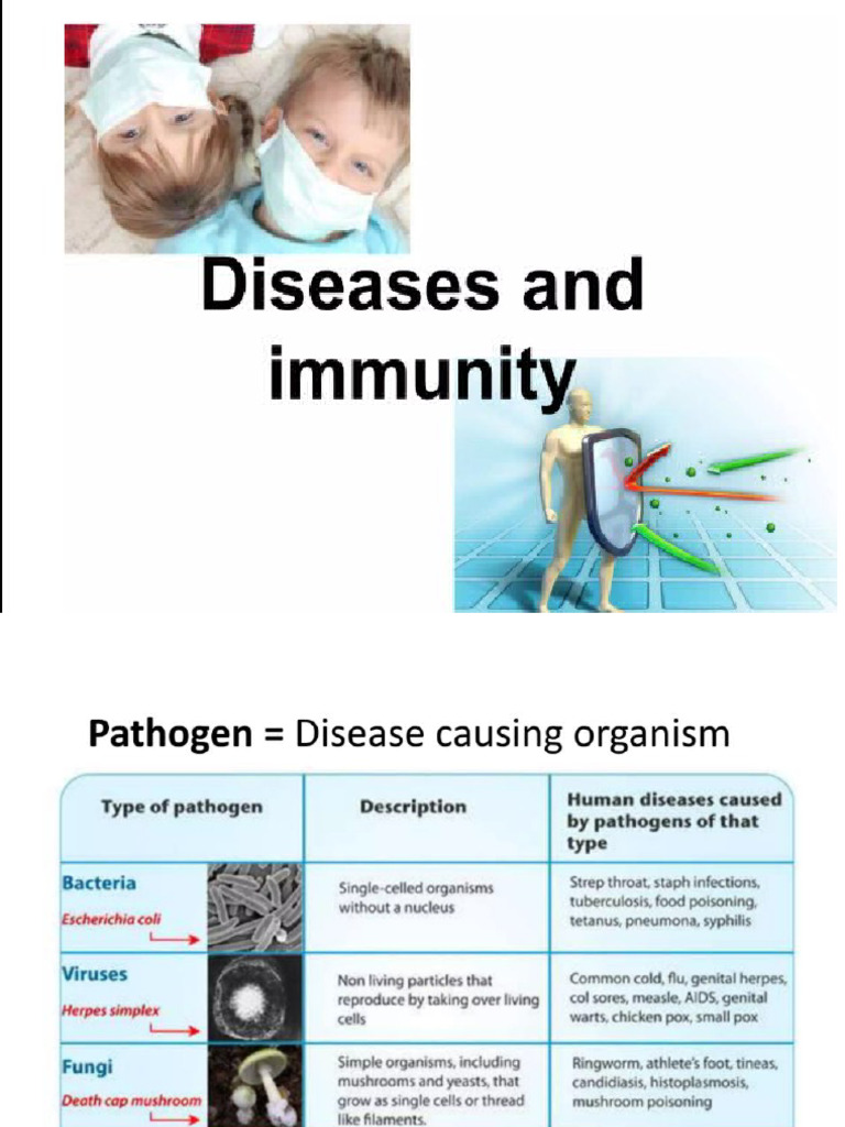 Disease and Immunity | PDF