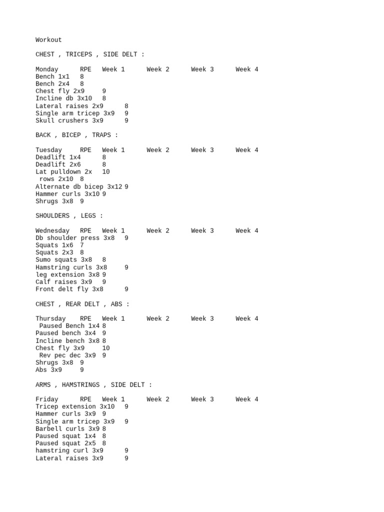 Weekly Workout Plan Overview | PDF