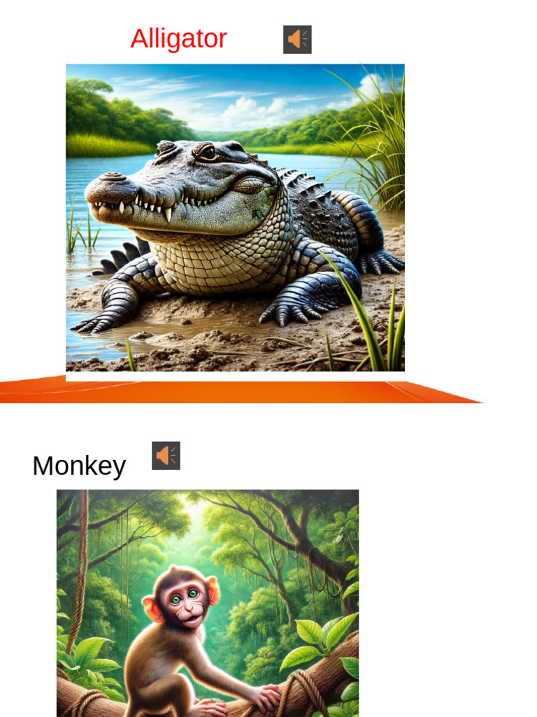Alligator | PDF