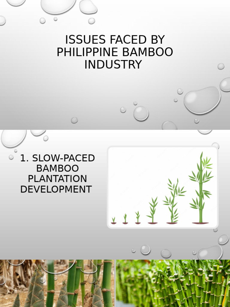 Challenges in Philippine Bamboo Industry | PDF