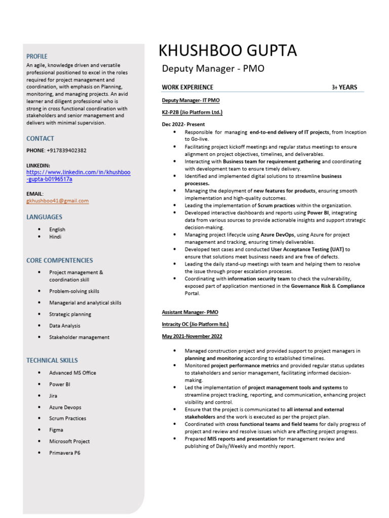Project Management Professional Profile | PDF | Project Management ...