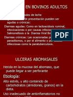 Enfermedades Digestivas