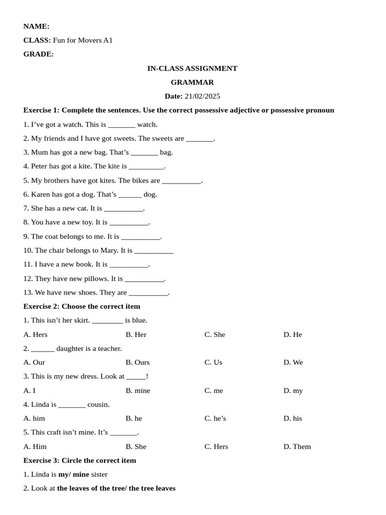 Possessive Adjectives and Pronouns Exercise | PDF | Morphology ...