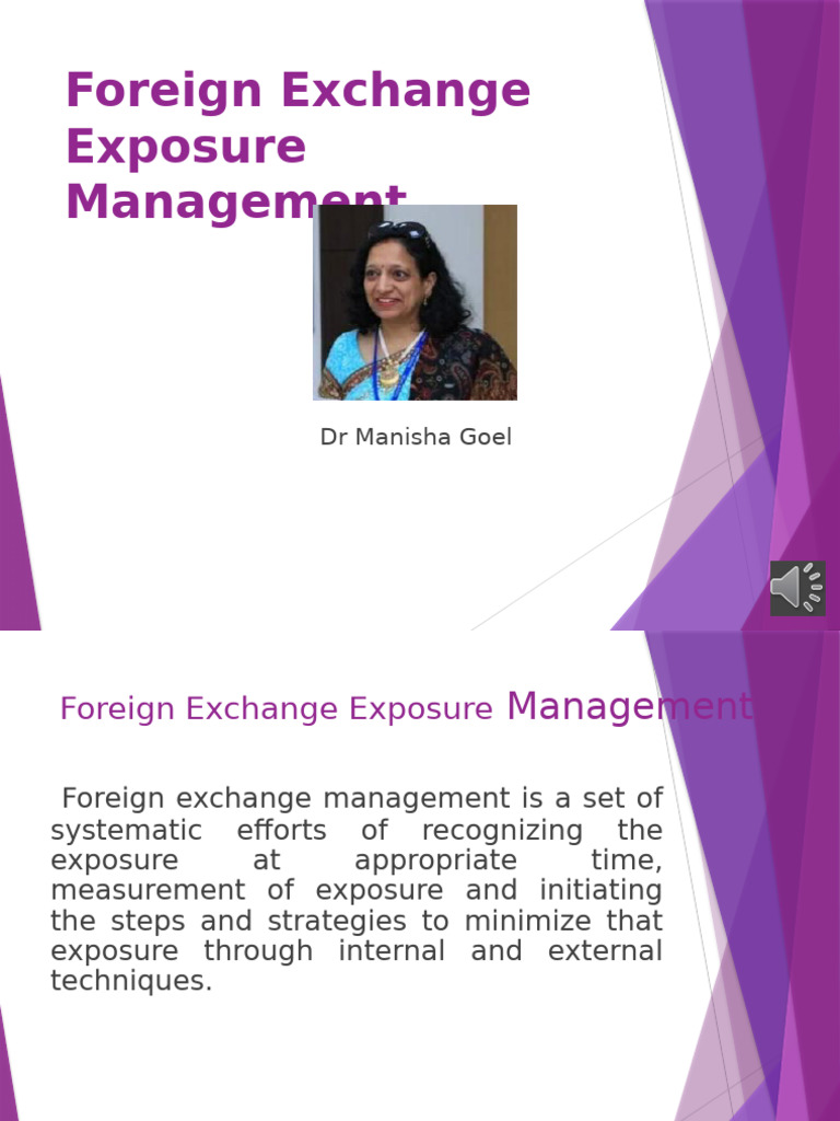 Foreign Exchange Risk Management Goals | PDF | Financial Risk | Hedge ...