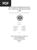 Download Proses Adaptasi Psikologis Ibu Masa Nifas by Desy Rachmasari SN85058259 doc pdf