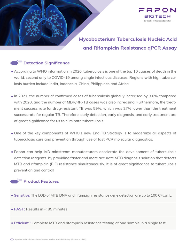 Mycobacterium Tuberculosis qPCR Assay | PDF | Tuberculosis | Microbiology