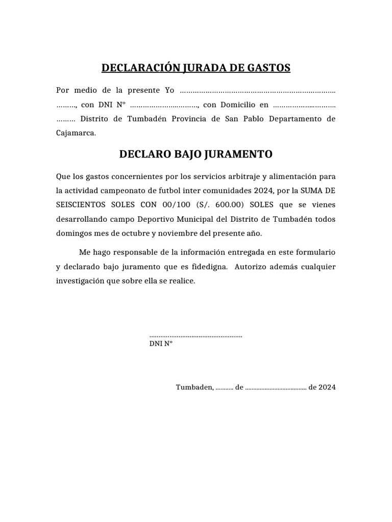 Declaración Jurada de Gastos 2024 | PDF