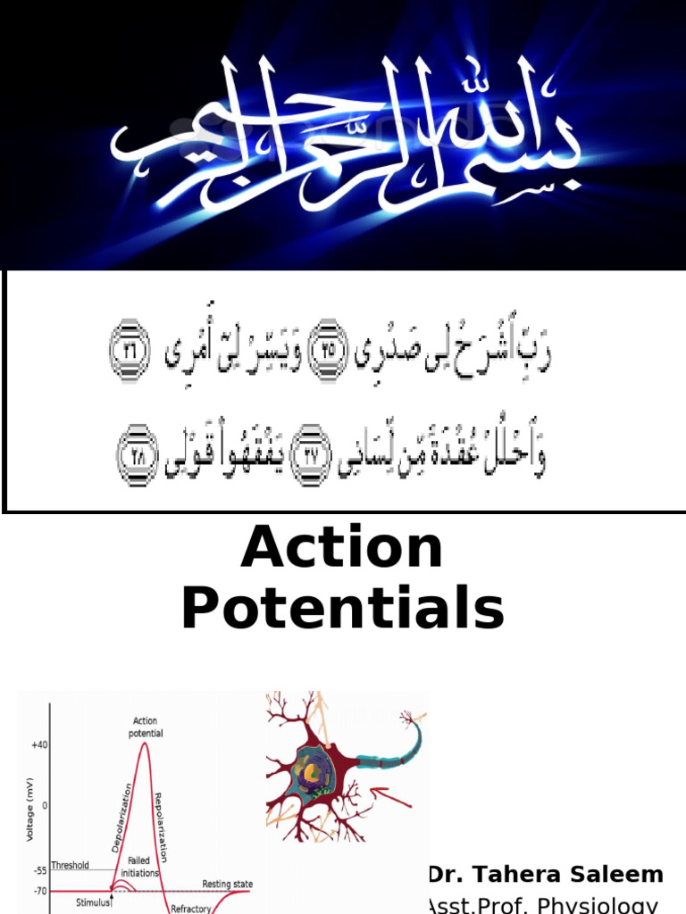 Understanding Action Potentials and Membrane Potential | PDF | Action ...