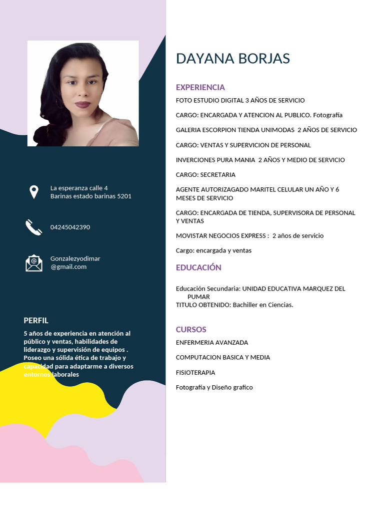 Perfil Profesional de Dayana Borjas | PDF