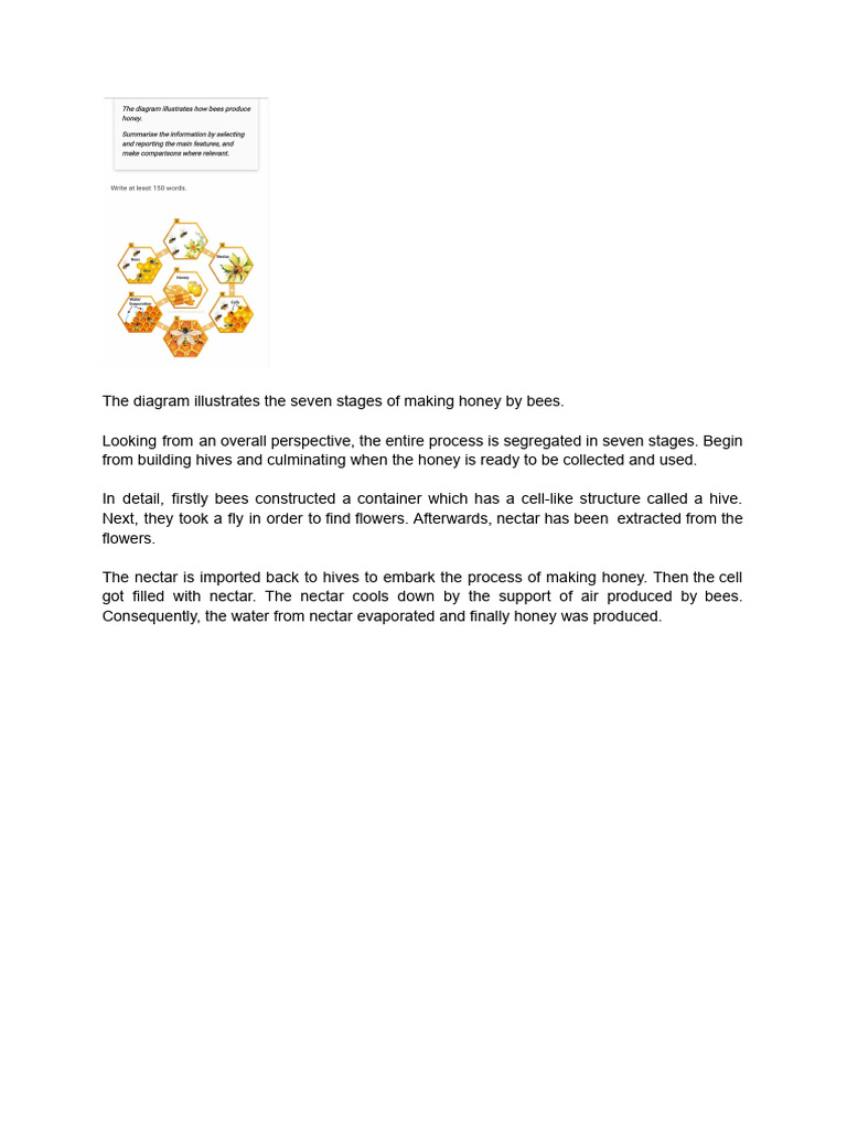 Honey Production Process Diagram | PDF